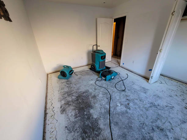 Best Flood restoration services  in Springhill, LA