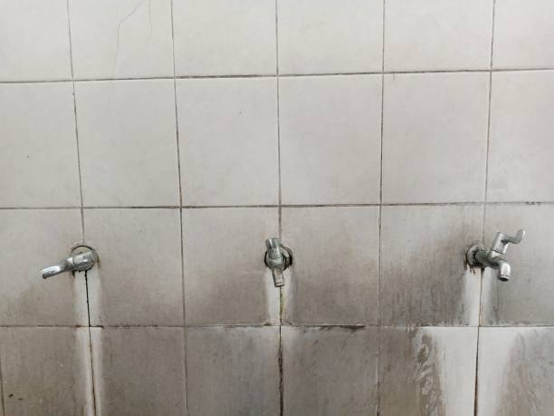 Best Water damage cleanup near me  in Springhill, LA