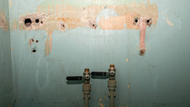Best 24/7 water damage repair  in Springhill, LA