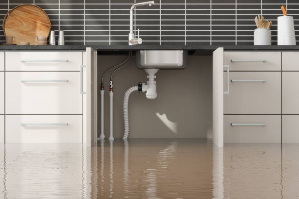 Best Water damage restoration process  in Springhill, LA