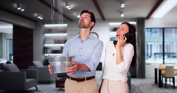 Best Carpet water damage restoration  in Springhill, LA